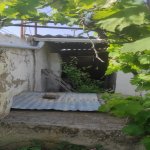 Satılır 3 otaqlı Bağ evi, Buzovna, Xəzər rayonu 4