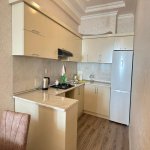 Kirayə (günlük) 3 otaqlı Yeni Tikili, Əhmədli metrosu, Xətai rayonu 6