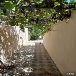 Kirayə (aylıq) 3 otaqlı Bağ evi, Mərdəkan, Xəzər rayonu 3