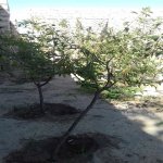 Satılır 3 otaqlı Həyət evi/villa, Pirşağı qəs., Sabunçu rayonu 4
