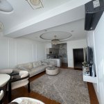Kirayə (aylıq) 2 otaqlı Yeni Tikili, Nəriman Nərimanov metrosu, Metropark, Nərimanov rayonu 4