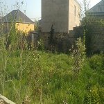 Satılır 4 otaqlı Həyət evi/villa, Saray, Abşeron rayonu 18