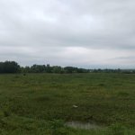 Продажа Участок Гябяля 1