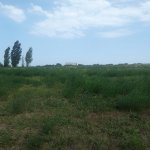Продажа Участок Гусар 4