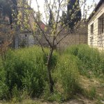 Satılır Torpaq, Badamdar qəs., Səbail rayonu 19