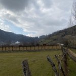 Satılır Torpaq Qəbələ 5