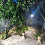 Satılır 4 otaqlı Həyət evi/villa, Bülbülə qəs., Suraxanı rayonu 31