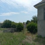 Satılır 1 otaqlı Həyət evi/villa Neftçala 16