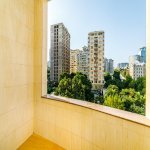 Kirayə (günlük) 4 otaqlı Yeni Tikili, 28 May metrosu, Nəsimi rayonu 40