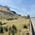 Satılır Torpaq, Novxanı, Abşeron rayonu 2