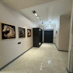 Kirayə (aylıq) 3 otaqlı Yeni Tikili, Ağ şəhər, Xətai rayonu 16