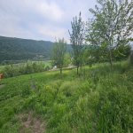 Satılır Torpaq Qusar 5