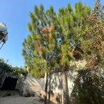 Satılır 3 otaqlı Həyət evi/villa, Mərdəkan, Xəzər rayonu 3