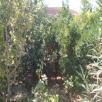 Satılır 3 otaqlı Həyət evi/villa, Xəzər rayonu 8