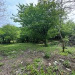 Satılır Torpaq İsmayıllı 4