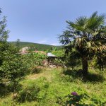 Satılır 6 otaqlı Həyət evi/villa Oğuz 7