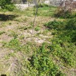 Satılır Torpaq, Digah, Abşeron rayonu 6
