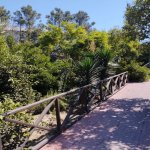 Satılır 10 otaqlı Həyət evi/villa, Şüvəlan, Xəzər rayonu 9