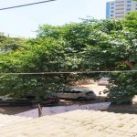 Kirayə (aylıq) 2 otaqlı Köhnə Tikili, Gənclik metrosu, Nəsimi rayonu 17