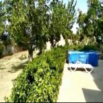 Kirayə (aylıq) 5 otaqlı Bağ evi, Mərdəkan, Xəzər rayonu 4