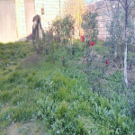Satılır 4 otaqlı Həyət evi/villa, Fatmayi, Abşeron rayonu 6