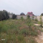 Satılır Torpaq, Fatmayi, Abşeron rayonu 3