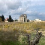 Satılır 6 otaqlı Bağ evi, Novxanı, Abşeron rayonu 13