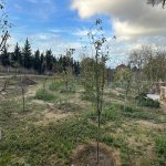 Продажа Участок, Мярдякан, Хязяр район 9