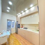 Kirayə (aylıq) 2 otaqlı Yeni Tikili, Gənclik metrosu, Nərimanov rayonu 12