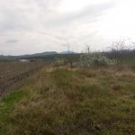 Satılır Torpaq Quba 3