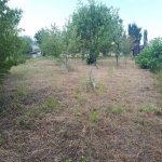 Satılır Torpaq Quba 8