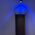 Kirayə (günlük) 7 otaqlı Həyət evi/villa Şamaxı 16