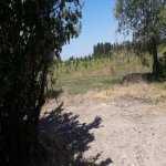 Satılır Torpaq Quba 8