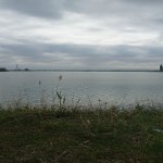Satılır 4 otaqlı Bağ evi Mingəçevir 10