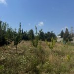 Satılır Torpaq, Şağan, Xəzər rayonu 1