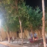 Satılır Obyekt, Qobu, Abşeron rayonu 4