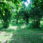 Satılır Torpaq Xaçmaz 3