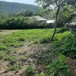 Satılır Torpaq Qax 18