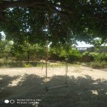 Kirayə (aylıq) 4 otaqlı Bağ evi Sumqayıt 13