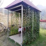 Kirayə (günlük) 4 otaqlı Həyət evi/villa Qəbələ 2