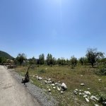 Satılır Torpaq Qəbələ 5
