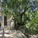 Kirayə (günlük) 3 otaqlı Həyət evi/villa Lerik 2