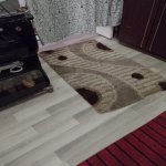 Kirayə (aylıq) 1 otaqlı Bağ evi Gəncə 1