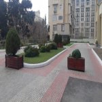 Аренда 3 комнат Новостройка, м. Эльмляр Академиясы метро, Ясамал район 4