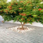 Satılır 3 otaqlı Həyət evi/villa, Koroğlu metrosu, Sabunçu rayonu 12