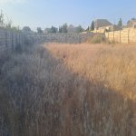 Продажа Участок, Зиря, Хязяр район 2