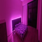 Kirayə (günlük) 6 otaqlı Bağ evi, Mərdəkan, Xəzər rayonu 15
