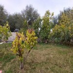 Satılır 2 otaqlı Bağ evi Sumqayıt 10