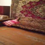 Kirayə (aylıq) 1 otaqlı Köhnə Tikili, 28 May metrosu, Nəsimi rayonu 4