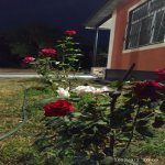 Kirayə (günlük) 3 otaqlı Həyət evi/villa Qəbələ 8